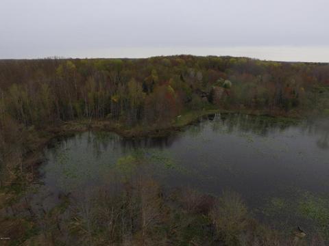 8400 E Fish Dr, Hesperia, MI 49421 photo 82