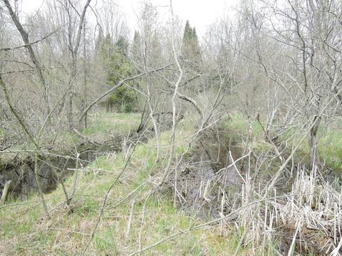 8400 E Fish Dr, Hesperia, MI 49421 photo 63