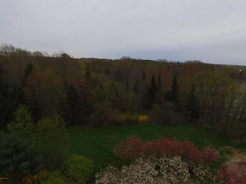 8400 E Fish Dr, Hesperia, MI 49421 photo 21