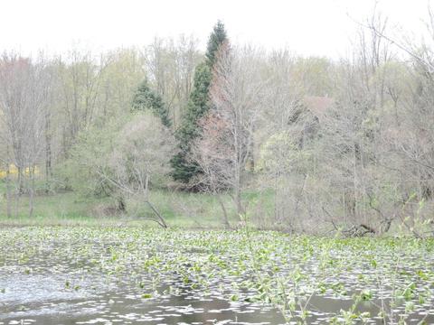 8400 E Fish Dr, Hesperia, MI 49421 photo 59