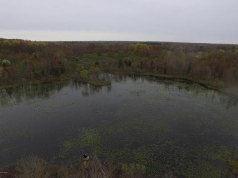 8400 E Fish Dr, Hesperia, MI 49421 photo 81