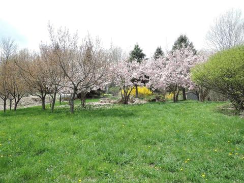 8400 E Fish Dr, Hesperia, MI 49421 photo 45