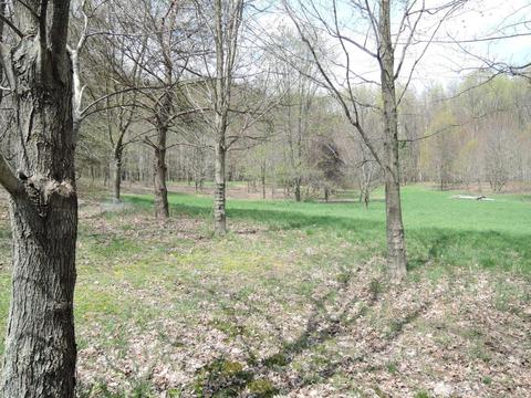 8400 E Fish Dr, Hesperia, MI 49421 photo 43