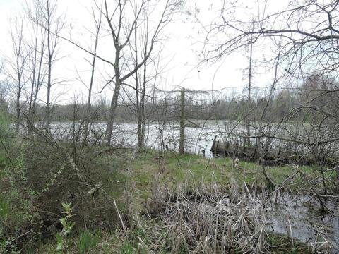 8400 E Fish Dr, Hesperia, MI 49421 photo 52