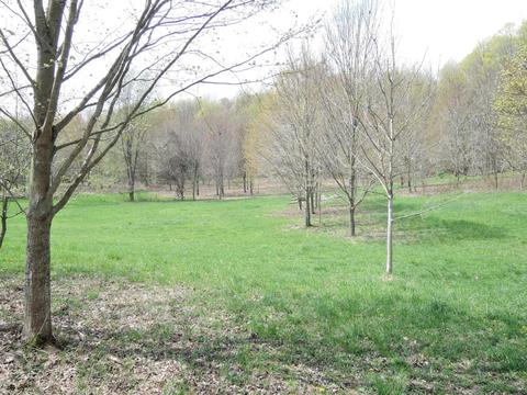 8400 E Fish Dr, Hesperia, MI 49421 photo 39