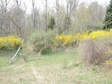 8400 E Fish Dr, Hesperia, MI 49421 photo 68