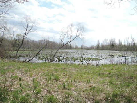 8400 E Fish Dr, Hesperia, MI 49421 photo 65