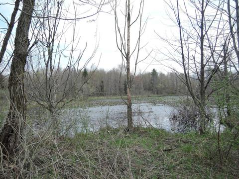 8400 E Fish Dr, Hesperia, MI 49421 photo 53