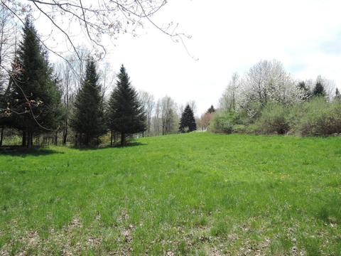 8400 E Fish Dr, Hesperia, MI 49421 photo 41