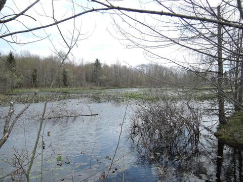 8400 E Fish Dr, Hesperia, MI 49421 photo 54