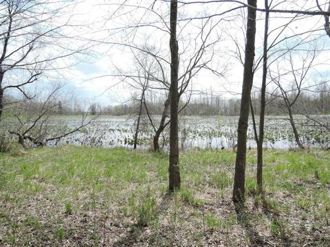 8400 E Fish Dr, Hesperia, MI 49421 photo 64