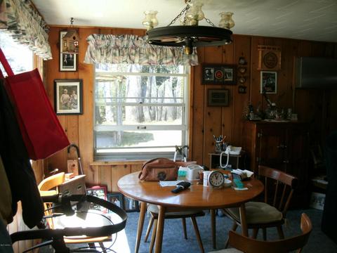 10550 N Foreman, Irons, MI 49644 photo 5