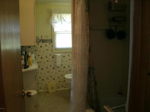10550 N Foreman, Irons, MI 49644 photo 3