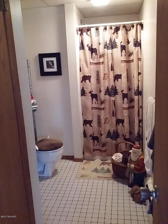 1277 Birch, White Cloud, MI 49349 photo 22