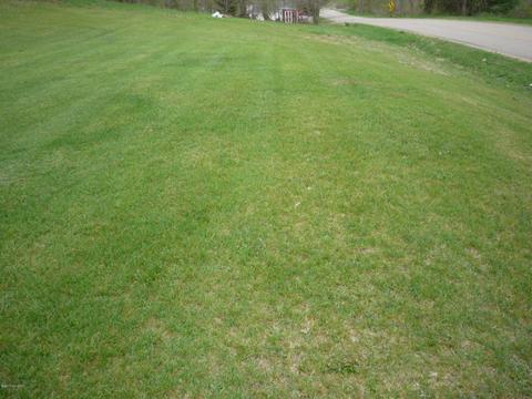 9600 Humphrey Rd, Reading, MI 49274 photo 34