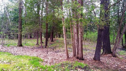 899 E 8th St, White Cloud, MI 49349 photo 20