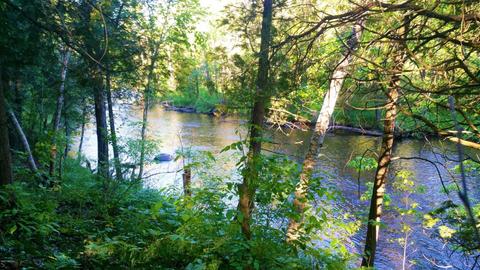 899 E 8th St, White Cloud, MI 49349 photo 22