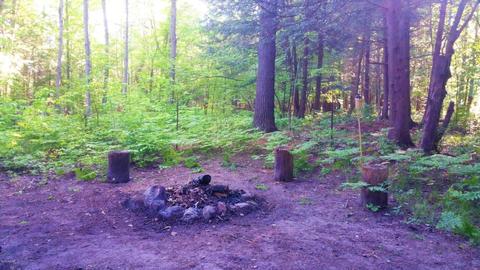 899 E 8th St, White Cloud, MI 49349 photo 25