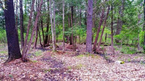 899 E 8th St, White Cloud, MI 49349 photo 21