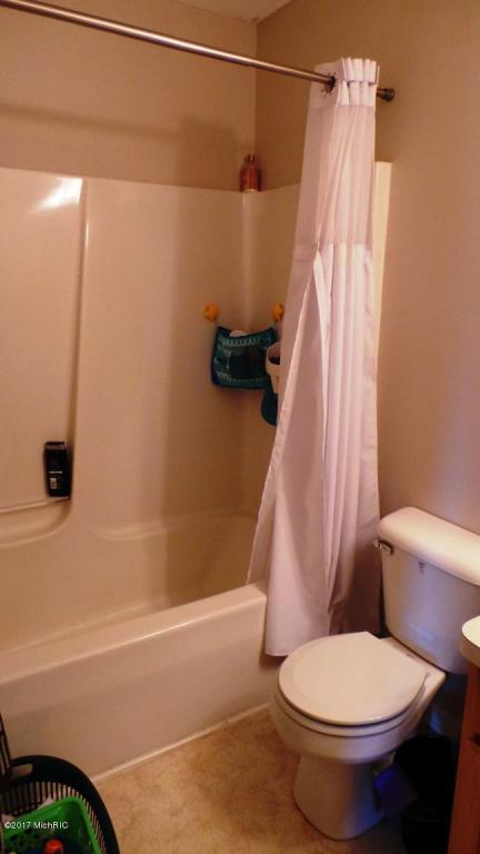 3360 Lyons Rd, Lyons, MI 48851 photo 24