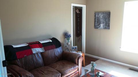 3360 Lyons Rd, Lyons, MI 48851 photo 10