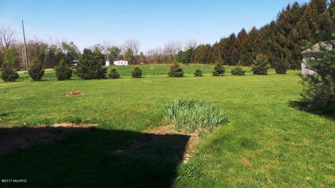 3360 Lyons Rd, Lyons, MI 48851 photo 27