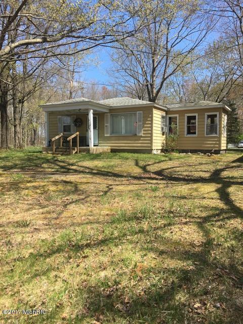 869 S Goode Dr, White Cloud, MI 49349 photo 1