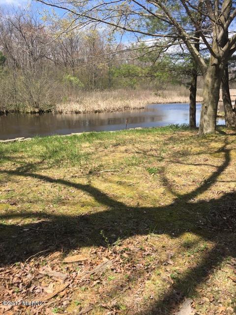 869 S Goode Dr, White Cloud, MI 49349 photo 5