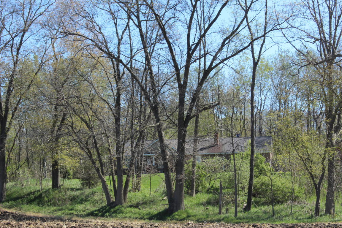 9962 Harkness Rd, Belding, MI 48809 photo 7