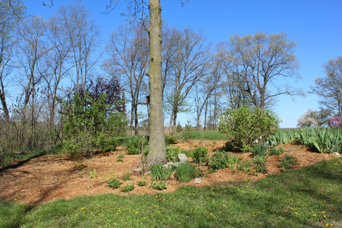 9962 Harkness Rd, Belding, MI 48809 photo 8