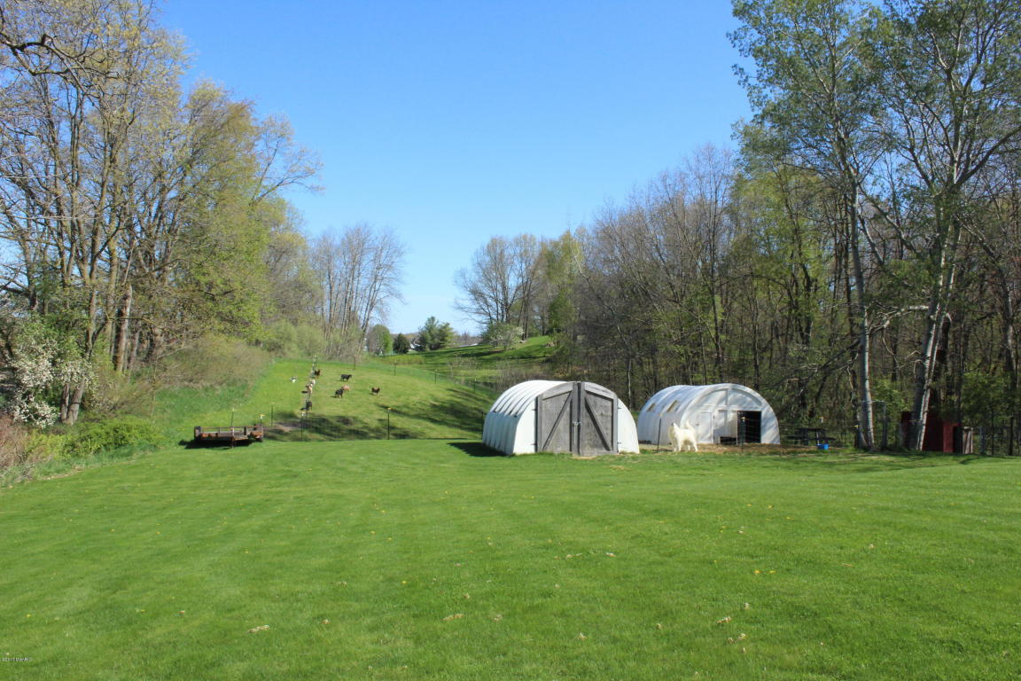 9962 Harkness Rd, Belding, MI 48809 photo 3