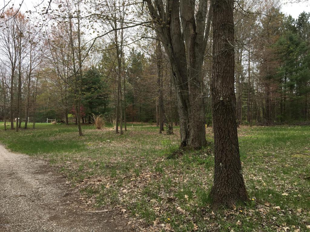 8060 E Yonker Rd, Hesperia, MI 49421 photo 61