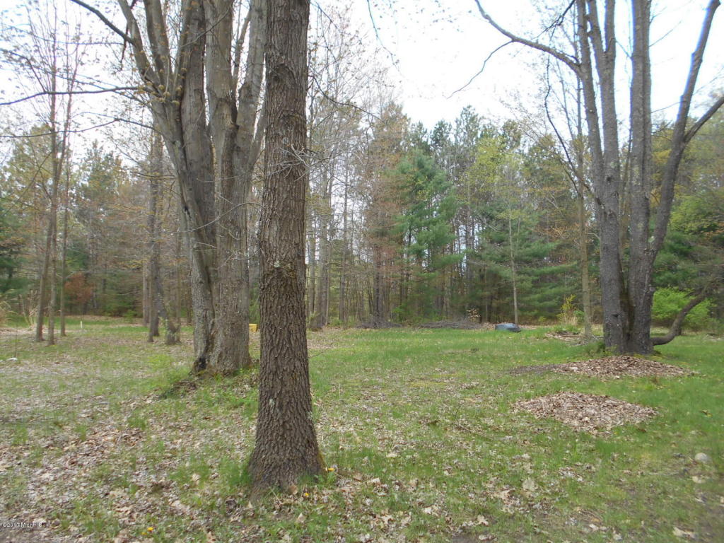 8060 E Yonker Rd, Hesperia, MI 49421 photo 65