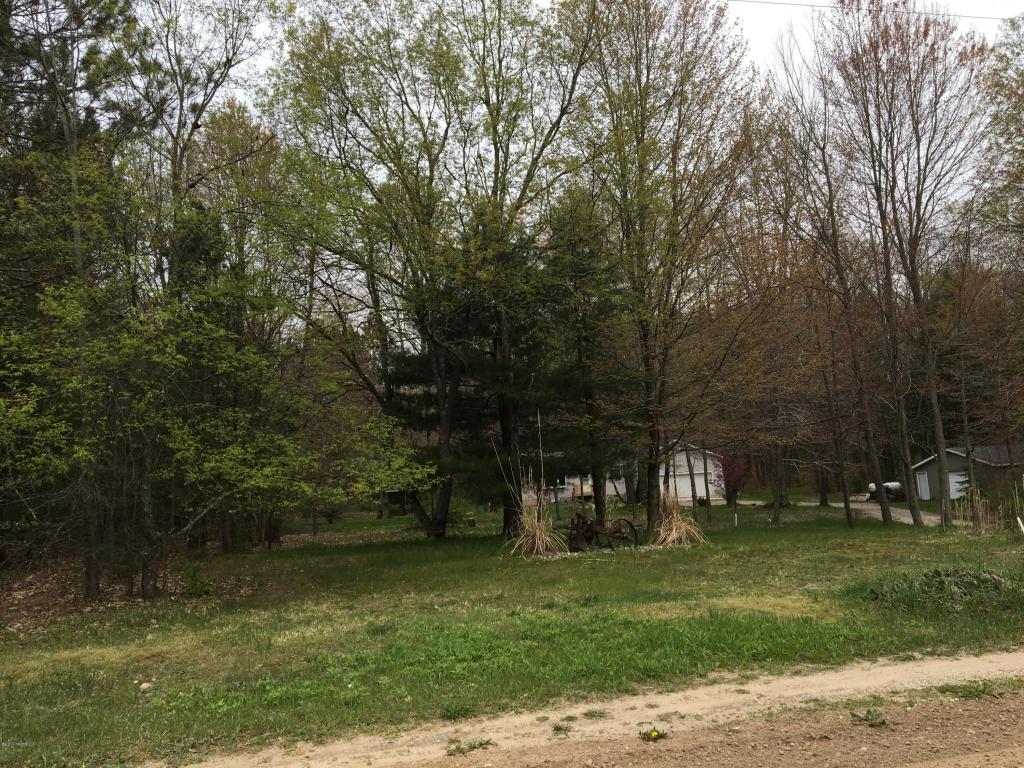 8060 E Yonker Rd, Hesperia, MI 49421 photo 67