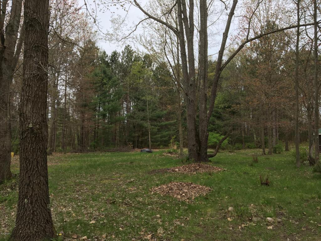 8060 E Yonker Rd, Hesperia, MI 49421 photo 54
