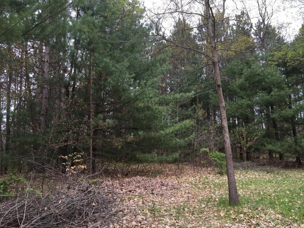 8060 E Yonker Rd, Hesperia, MI 49421 photo 53