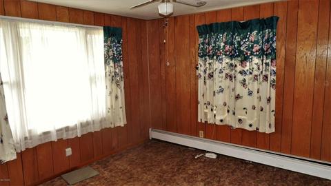 311 Home St, Edmore, MI 48829 photo 14