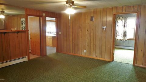 311 Home St, Edmore, MI 48829 photo 10