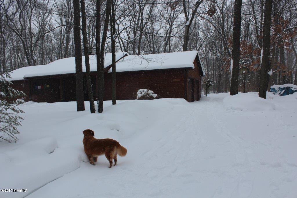 24148 63rd Ave, Mattawan, MI 49071 photo 30