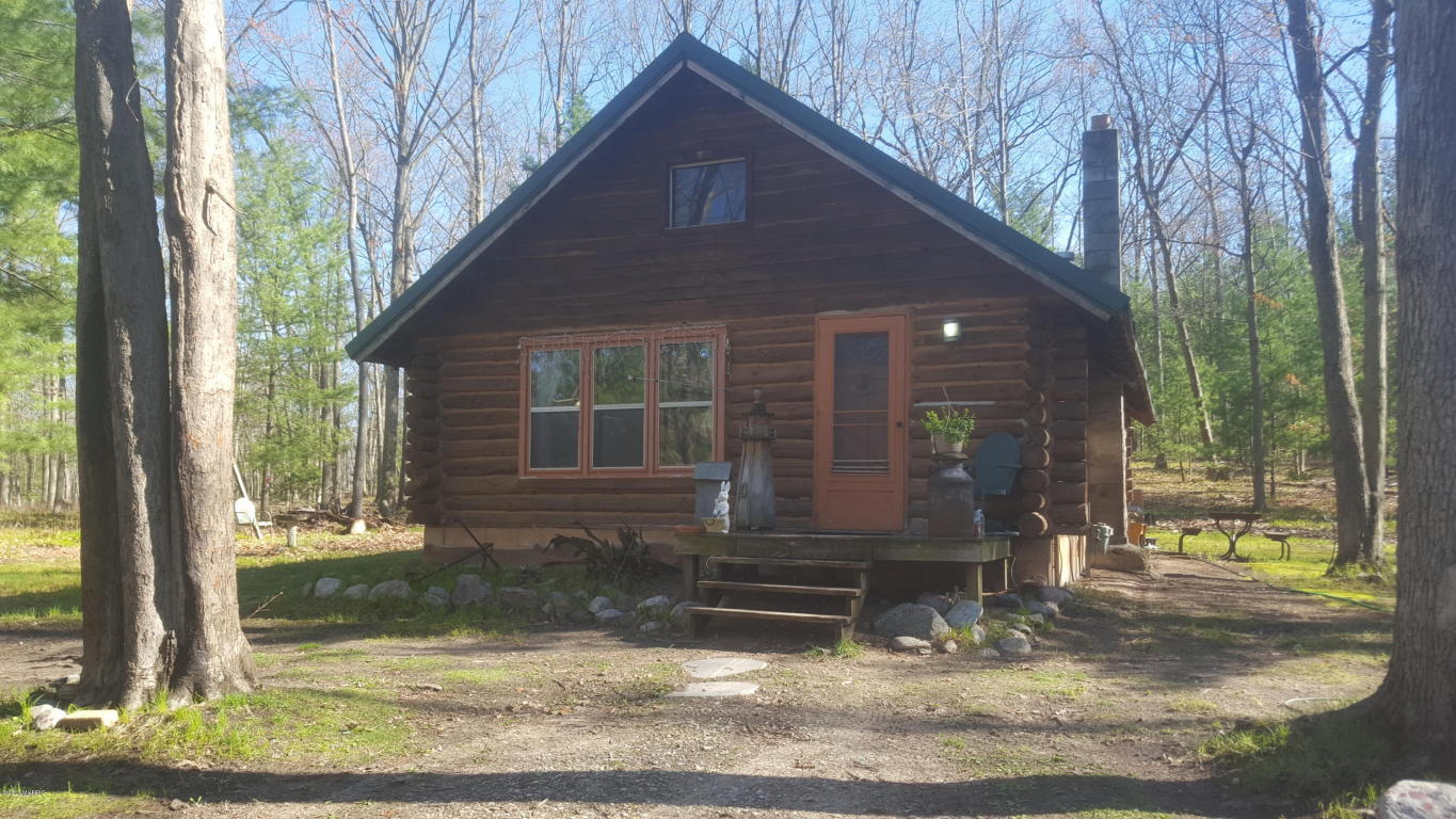11940 S Old Tower Rd, Baldwin, MI 49304 photo 2