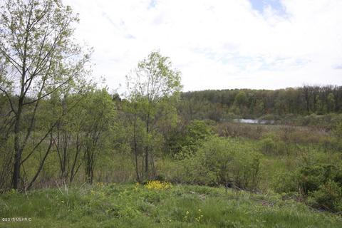 10300 S Case Rd, Dowling, MI 49050 photo 30