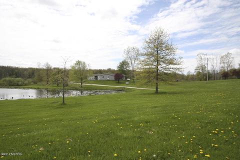 10300 S Case Rd, Dowling, MI 49050 photo 46