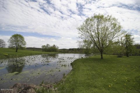 10300 S Case Rd, Dowling, MI 49050 photo 42
