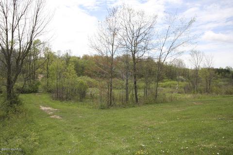 10300 S Case Rd, Dowling, MI 49050 photo 31