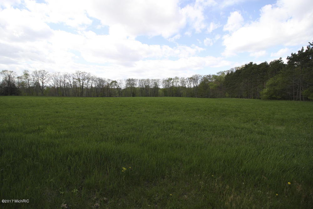 2903 142nd Ave, Dorr, MI 49323 photo 20