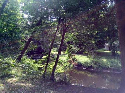 8709 E Ruth Dr, Branch, MI 49402 photo 5