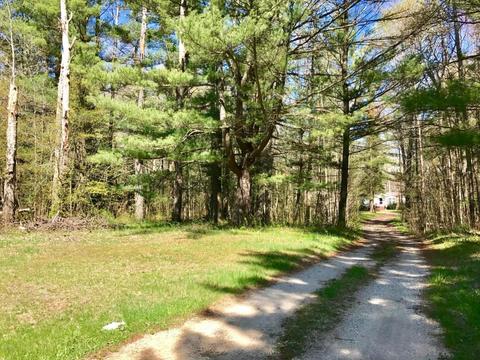 5450 Logging Trail Dr, Sears, MI 49679 photo 23