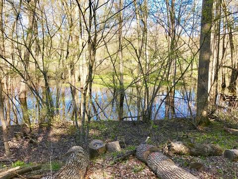 5450 Logging Trail Dr, Sears, MI 49679 photo 4