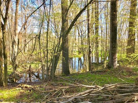 5450 Logging Trail Dr, Sears, MI 49679 photo 24