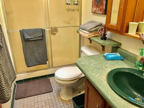 5450 Logging Trail Dr, Sears, MI 49679 photo 16